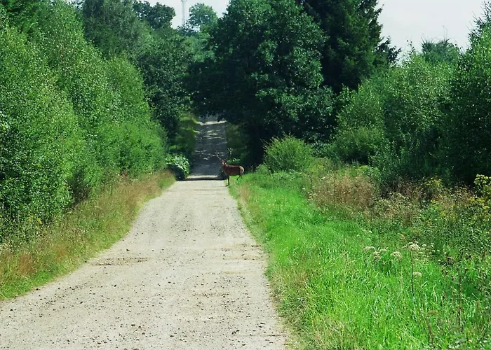 Au Chat'rme Des Blanches Pierres