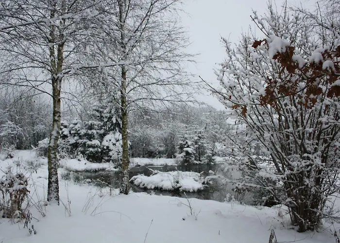 Au Chat'rme Des Blanches Pierres